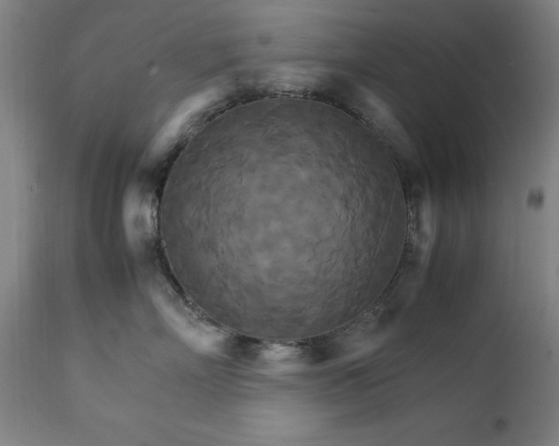 X0000111230718200907091335