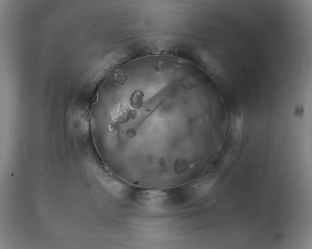 X0000111230719200907091335