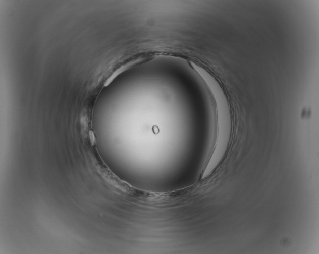 X0000111230720200907091335