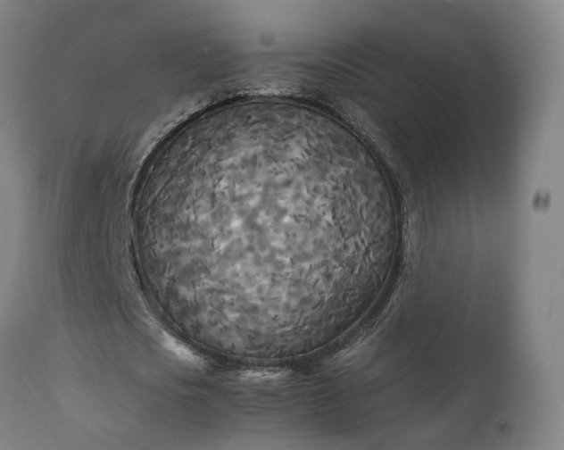 X0000111230721200907091334