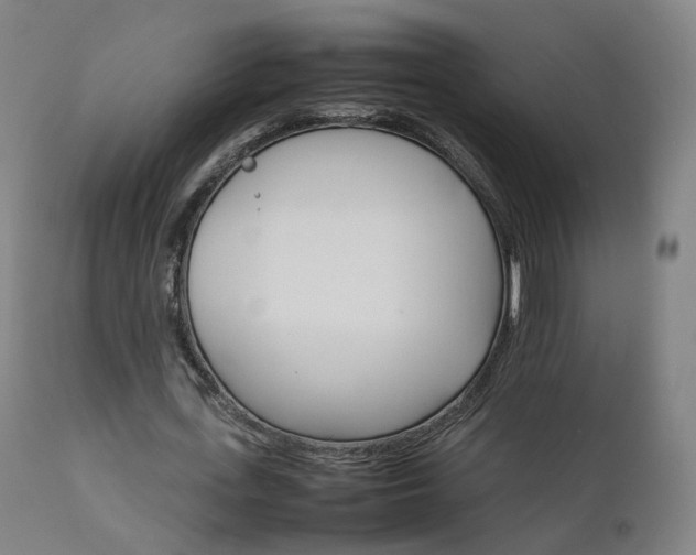 X0000111230723200907091335