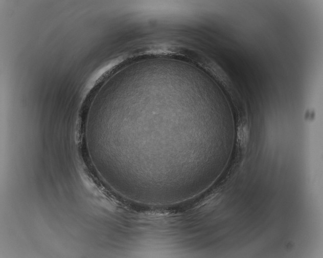 X0000111230724200907091335