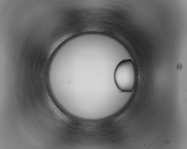 X0000111230725200907091335