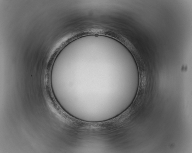 X0000111230726200907091335