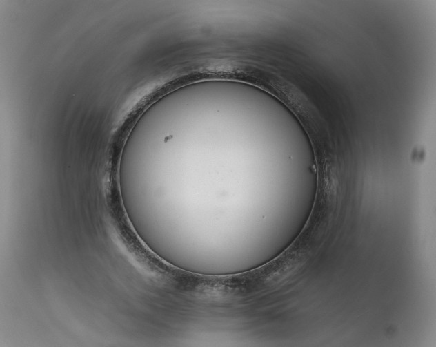 X0000111230728200907091335