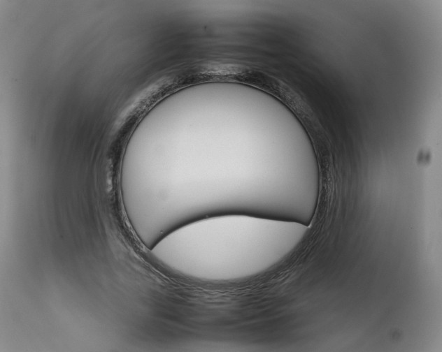 X0000111230731200907091335