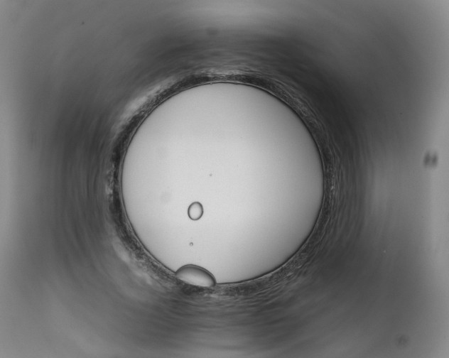 X0000111230732200907091335