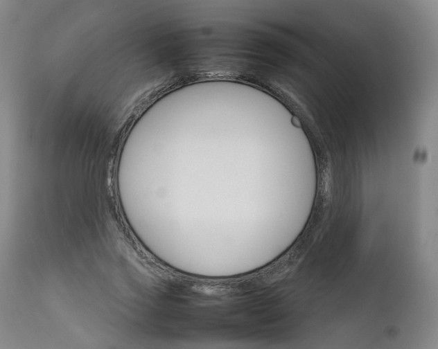 X0000111230733200907091335