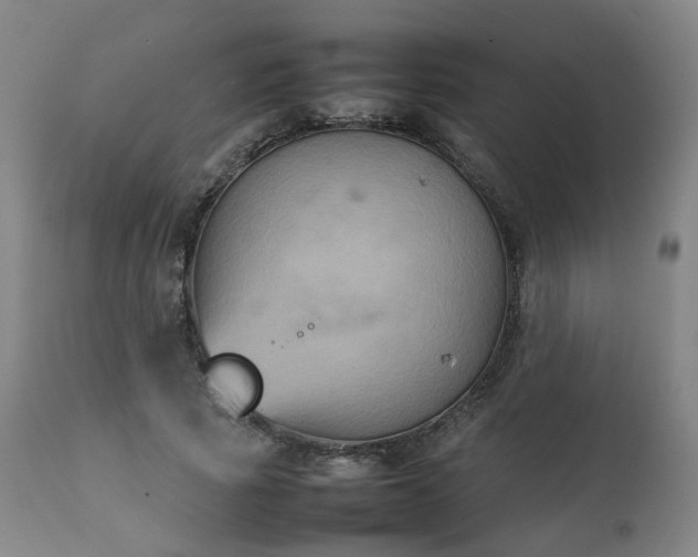 X0000111230737200907091335