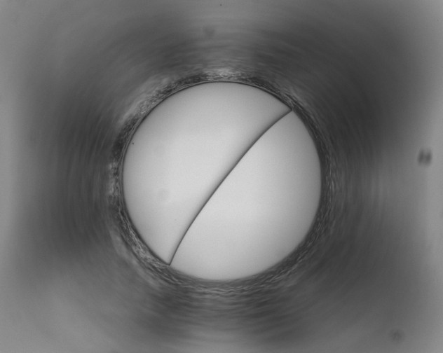 X0000111230738200907091335
