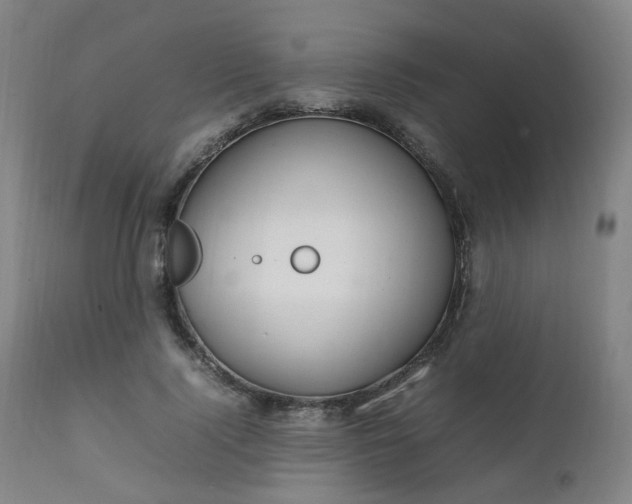 X0000111230740200907091335