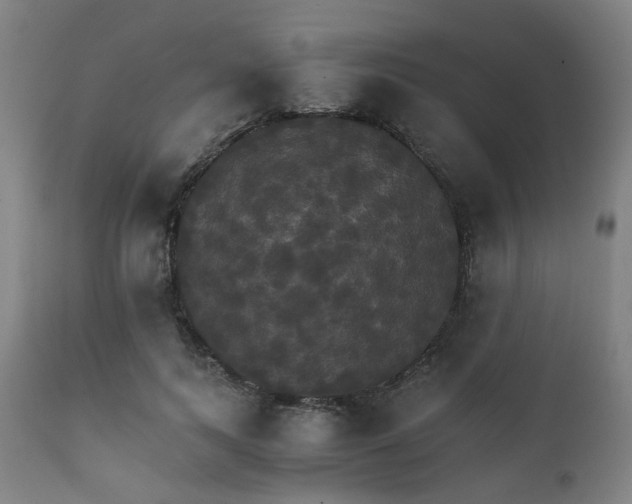X0000111230743200907091335