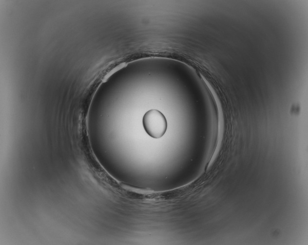 X0000111230744200907091335