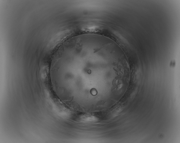 X0000111230747200907091335