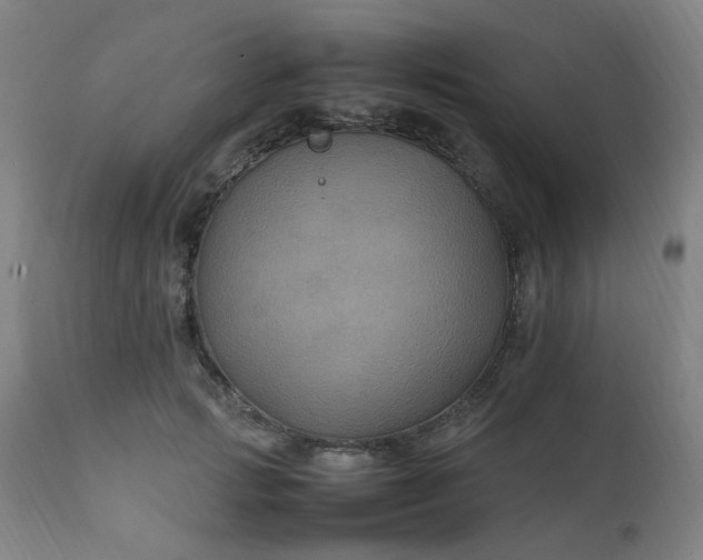 X0000111230749200907091335