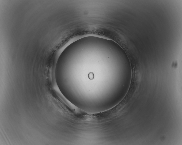 X0000111230750200907091335