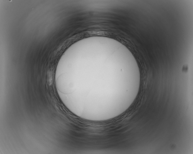 X0000111230751200907091335
