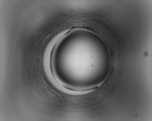 X0000111230752200907091335