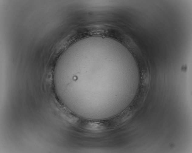 X0000111230753200907091335