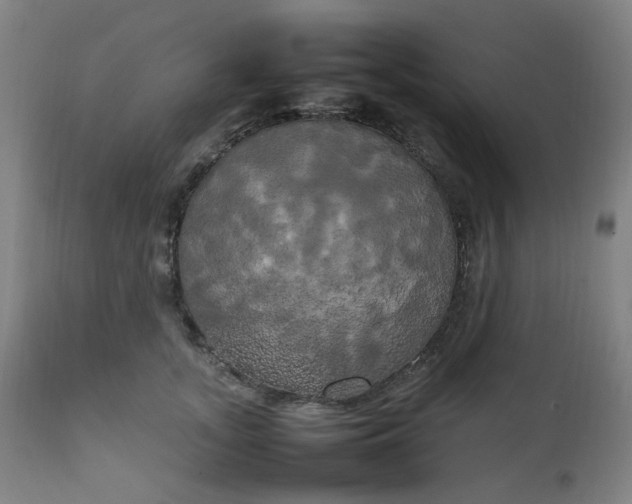 X0000111230755200907091335