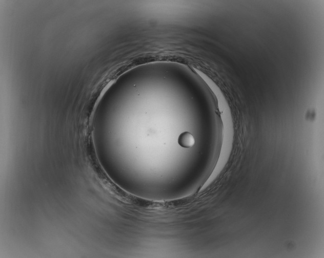 X0000111230756200907091335