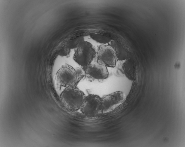 X0000111230757200907091335