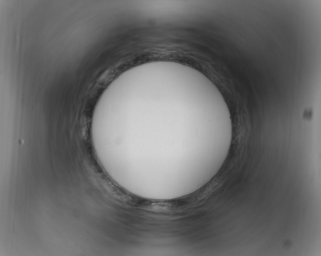 X0000111230758200907091335