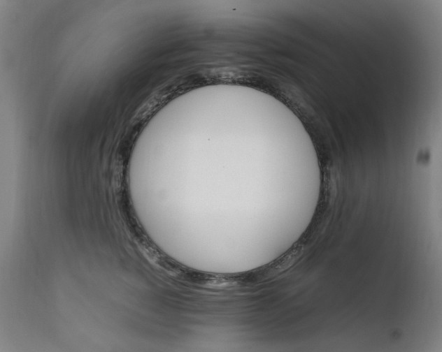 X0000111230760200907091335
