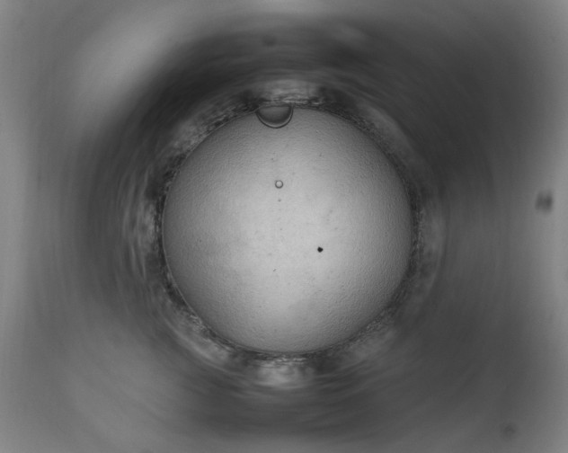 X0000111230761200907091335