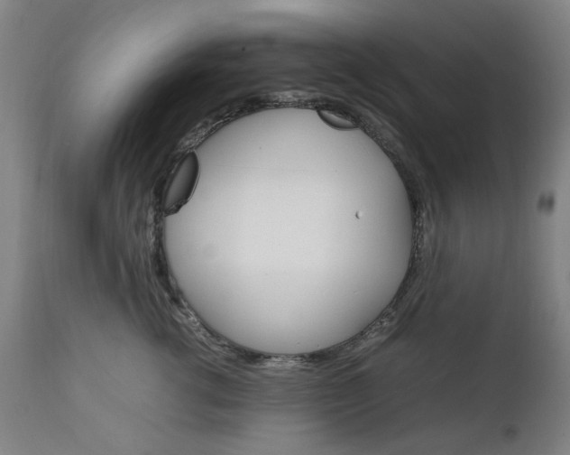 X0000111230762200907091335
