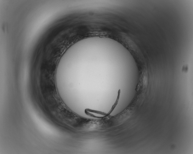 X0000111230764200907091335