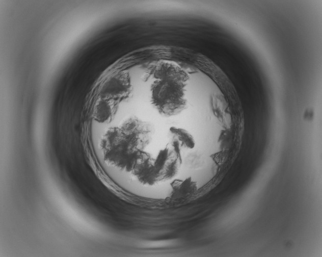 X0000111230765200907091335