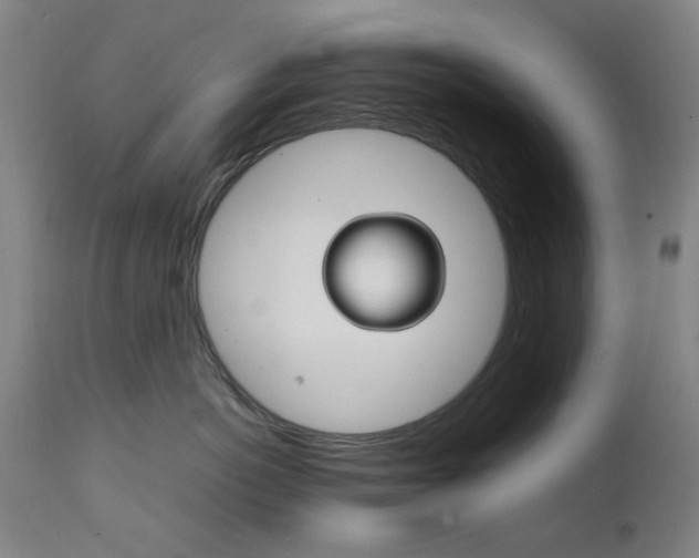 X0000111230766200907091335
