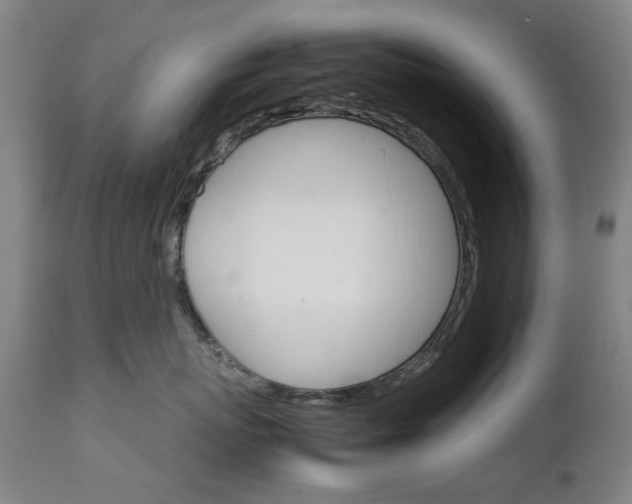 X0000111230767200907091335