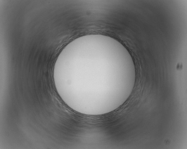 X0000111230768200907091335