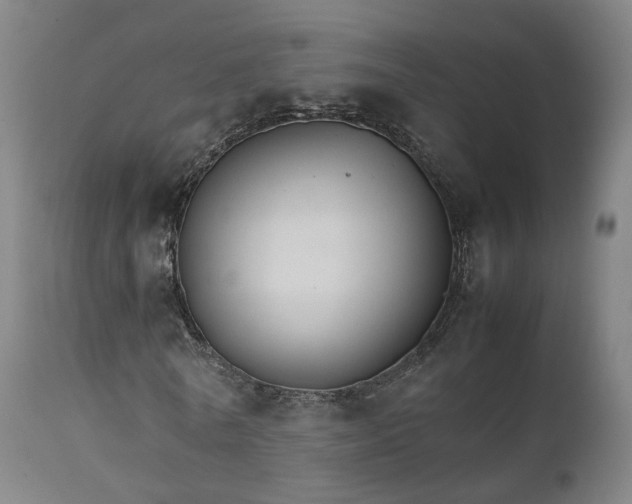 X0000111230770200907091334