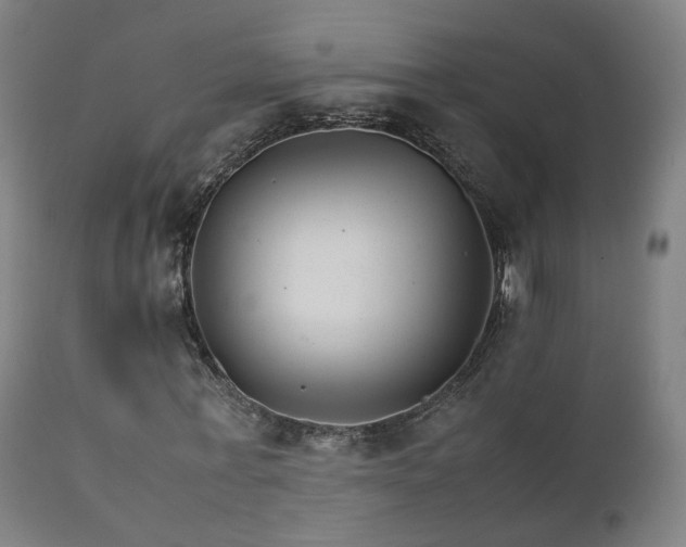X0000111230771200907091334