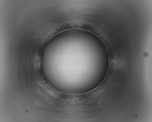 X0000111230772200907091334