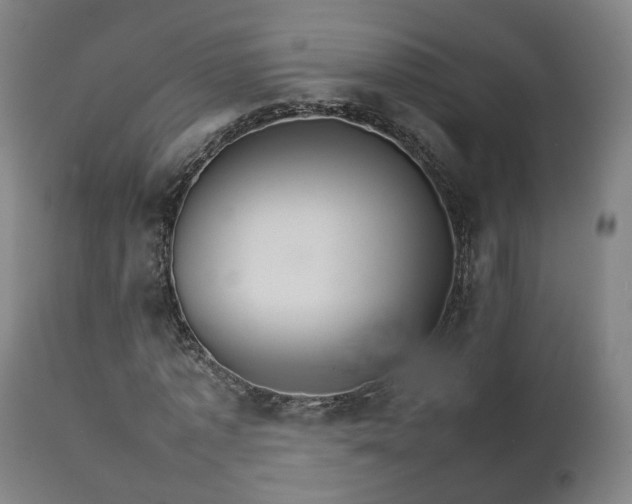X0000111230773200907091334