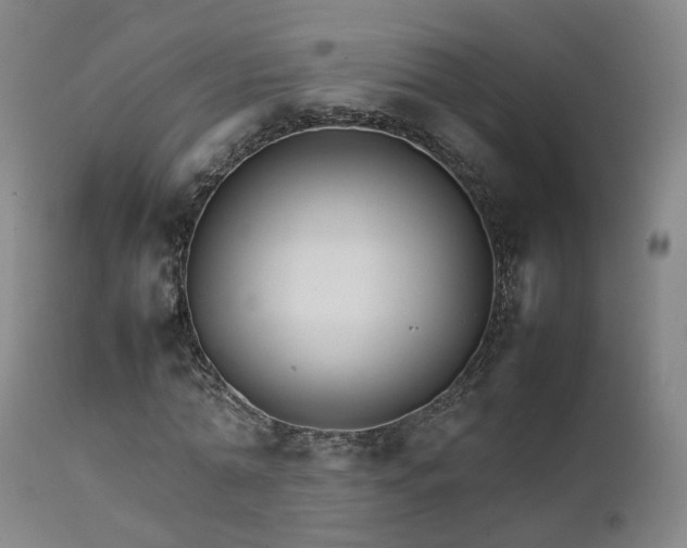 X0000111230774200907091334