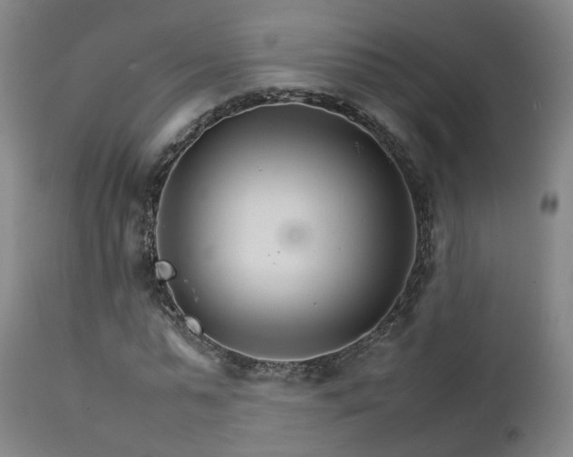 X0000111230775200907091334