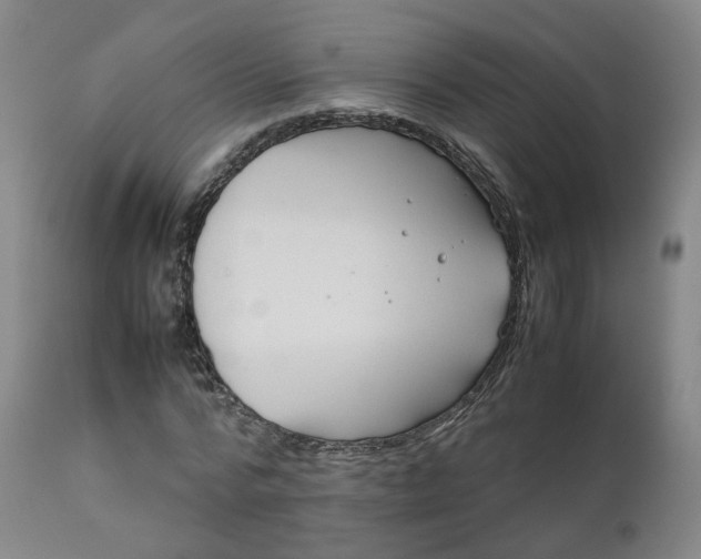 X0000111230776200907091334