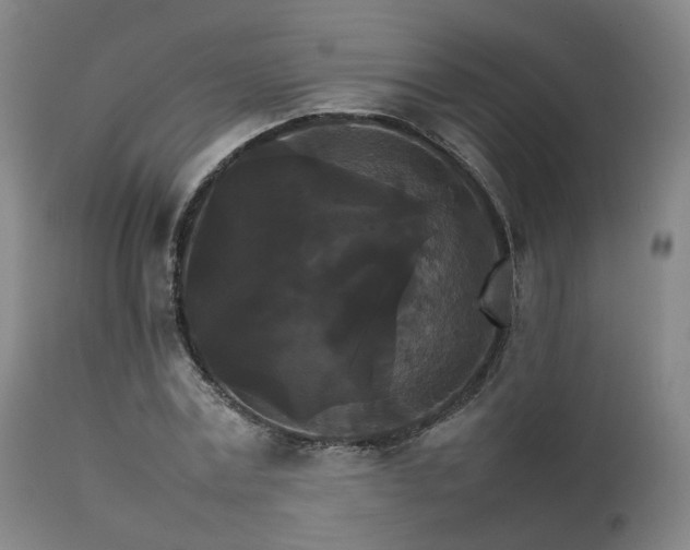 X0000111230779200907091334