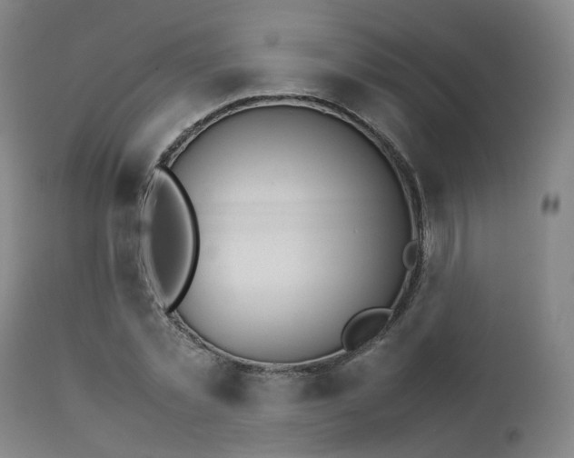 X0000111230781200907091334