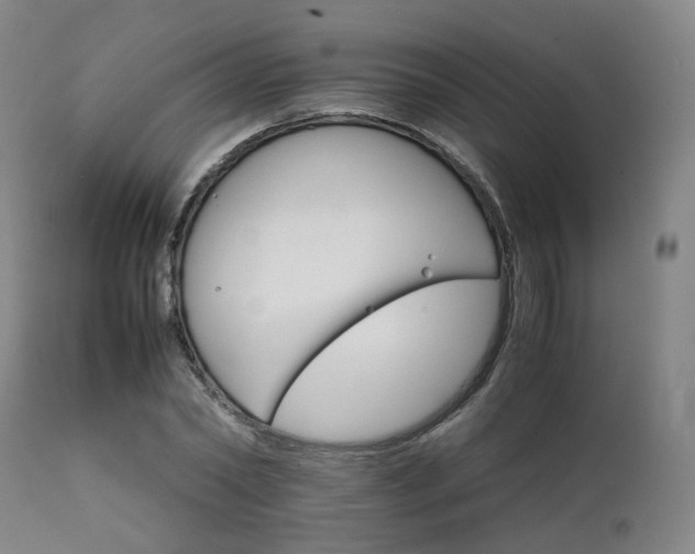 X0000111230782200907091334