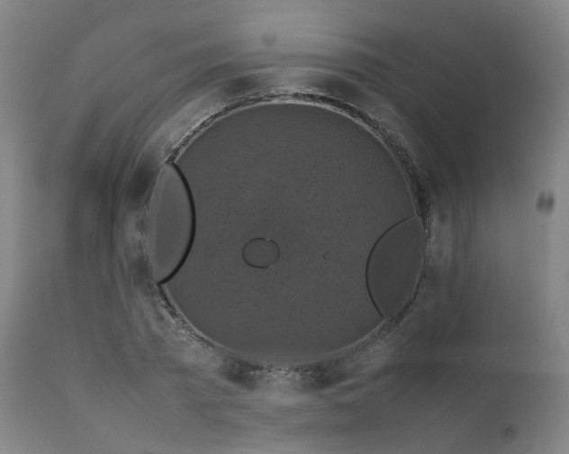 X0000111230785200907091334