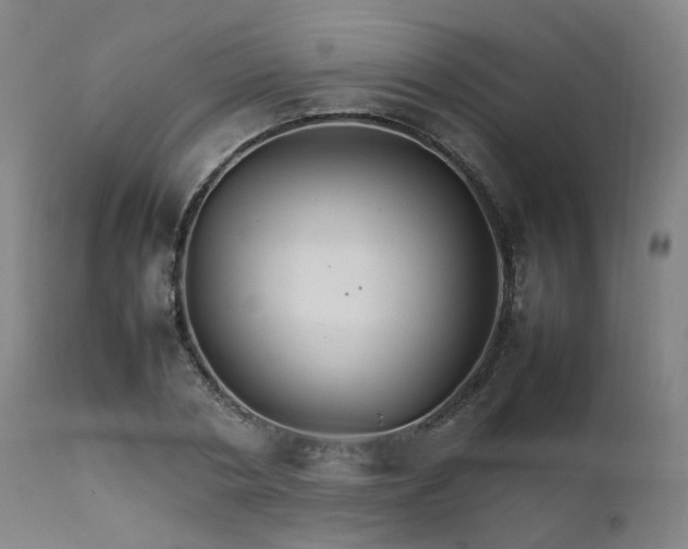 X0000111230786200907091334