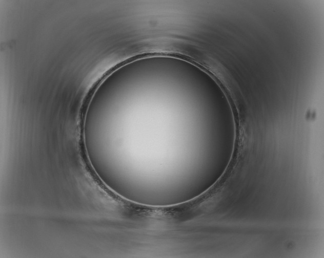 X0000111230787200907091334