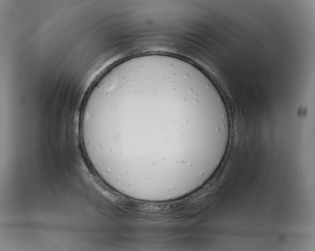 X0000111230790200907091334