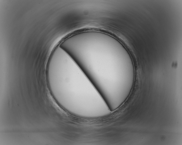 X0000111230791200907091334